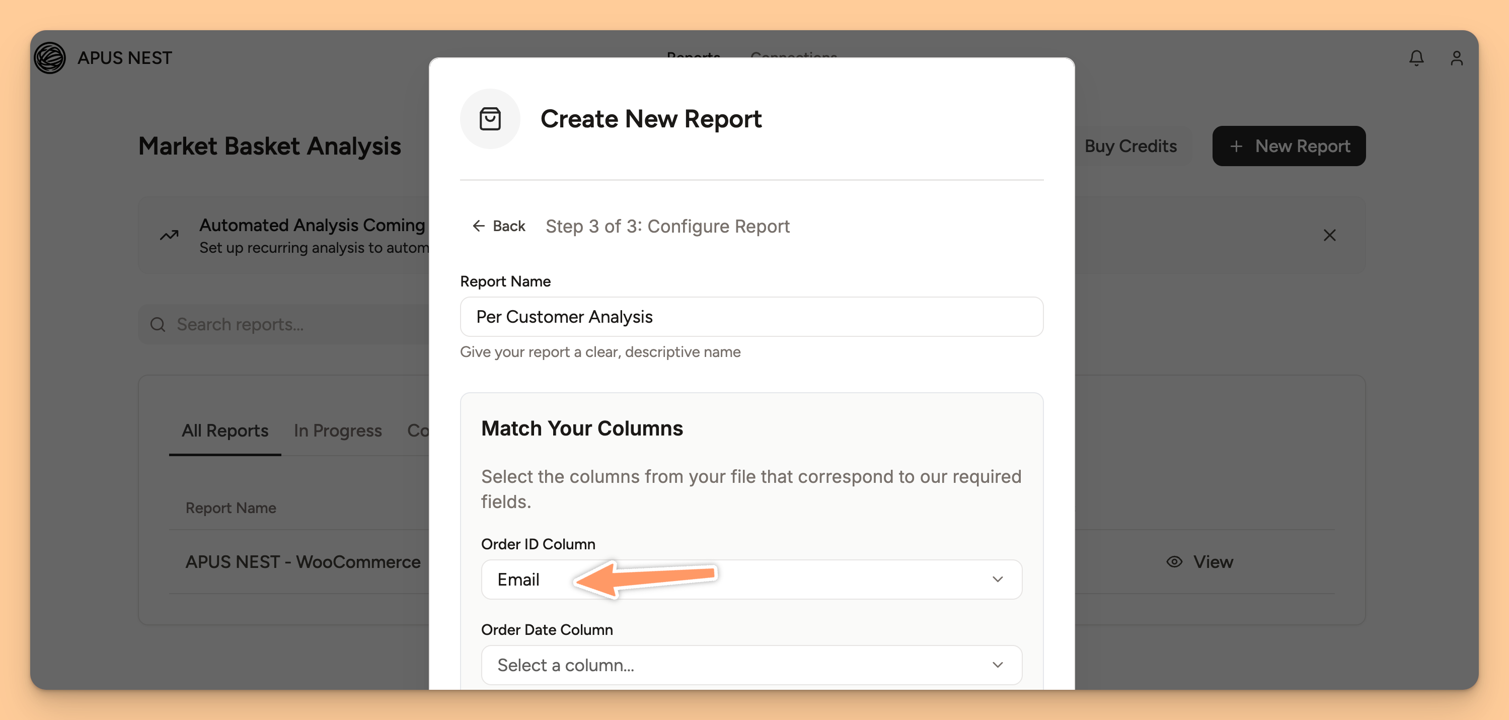 A UI screenshot from a tool like Affinsy showing a filter or toggle between 'Per Basket Analysis' and 'Per Customer Analysis'.